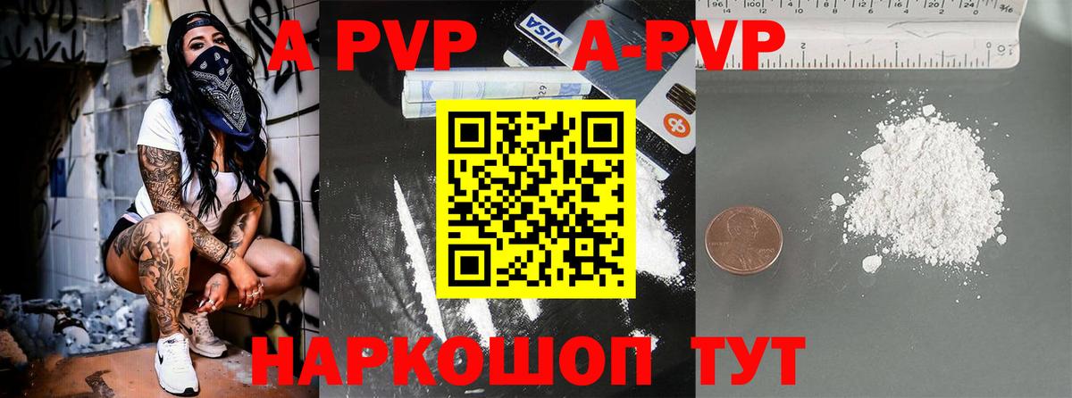 Альфа ПВП СК Ростов Великий