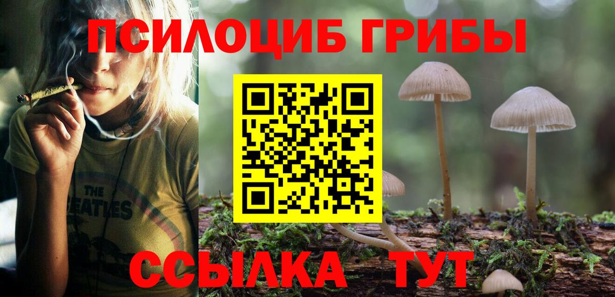 Псилоцибиновые грибы мицелий Ростов Великий