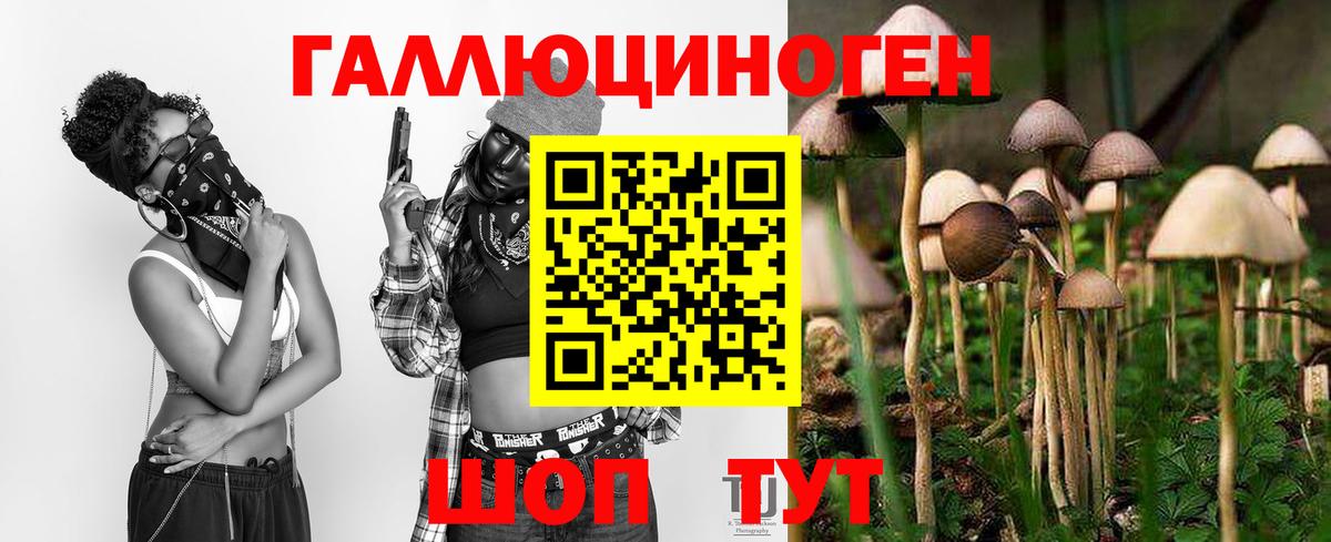 Галлюциногенные грибы Psilocybine cubensis  Вход с VPN  Ростов Великий  Псилоцибиновые грибы Magic Shrooms 